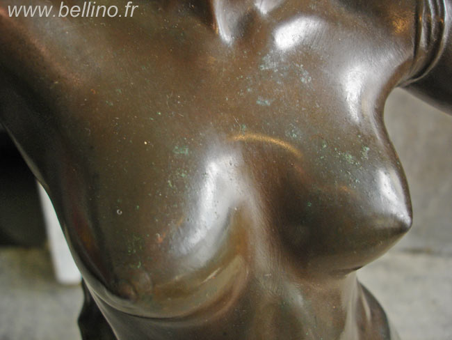 Buste du bronze patiné Buste du bronze de Felix Charpentier