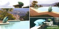Grenouilles1